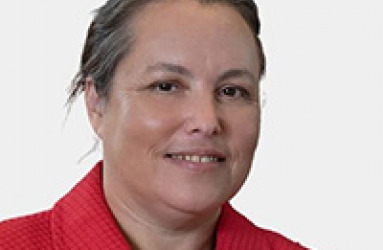 Prof. Orly Sade